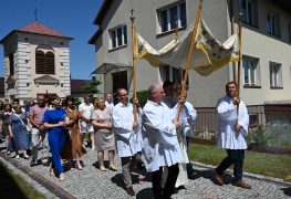 https://diecezja.lowicz.pl/app/uploads/DSC_1581-1-263x180.jpg
