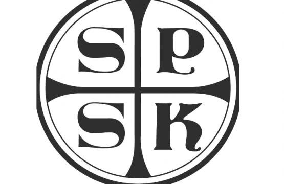 https://diecezja.lowicz.pl/app/uploads/logo-spsk-1-555x360.png